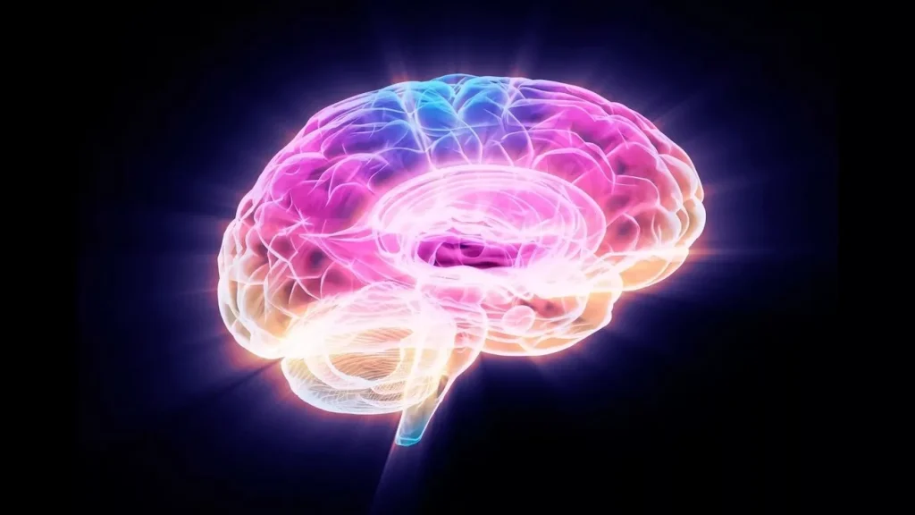 محققان با خاموش‌کردن یک پروتئین، پیری مغز را در موش‌ها معکوس کردند